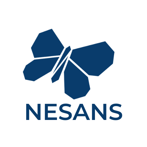 Nesans